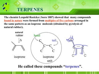 The Biological Isoprene Unit
• The isoprene units in terpenes do not come from
isoprene.
• They come from isopentenyl pyro...