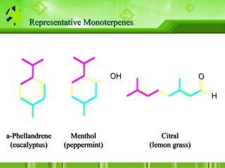 a-Phellandrene
(eucalyptus)
Menthol
(peppermint)
Citral
(lemon grass)
Representative Monoterpenes
 