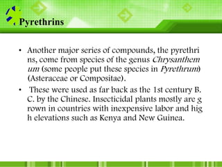 Pyrethrum, Chrysanthemum cinerariifolium,
Asteraceae
Courtesy Dr. Saifu Dossaji
 