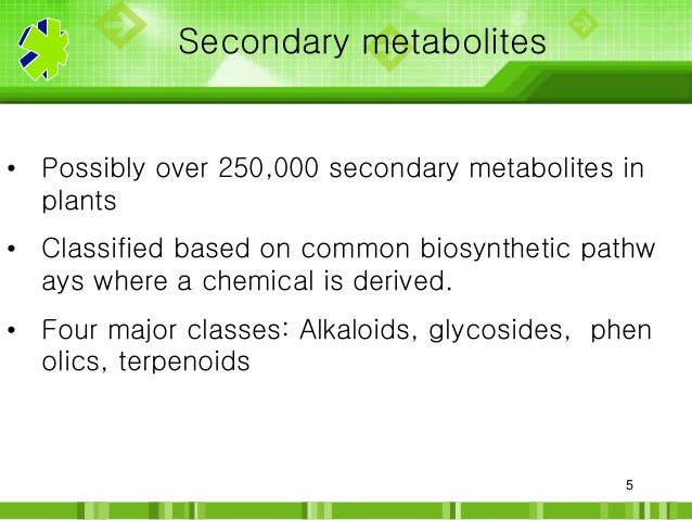 Secondary metabolites - SeconDary Metabolites 5 638