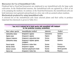 Bioreactors for Use of Immobilized Cells:
Fluidized bed or fixed bed bioreactors are employed to use immobilized cells for large scale
cultivation. In the fluidized-bed reactors, the immobilized cells are agitated by a flow of air
or by pumping the medium. In contrast, in the fixed-bed bioreactor, the immobilized cells are
held stationary (not agitated) and perfused at a slow rate with an aerated culture medium.
Biochemicals produced by using immobilized cells:
A selected list of the immobilized cells from selected plants and their utility to produce
important bio-chemicals is given in Table 42.2.
 