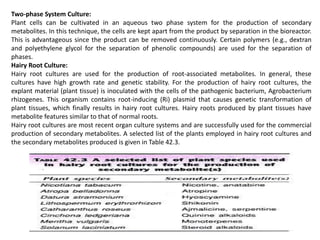 Two-phase System Culture:
Plant cells can be cultivated in an aqueous two phase system for the production of secondary
metabolites. In this technique, the cells are kept apart from the product by separation in the bioreactor.
This is advantageous since the product can be removed continuously. Certain polymers (e.g., dextran
and polyethylene glycol for the separation of phenolic compounds) are used for the separation of
phases.
Hairy Root Culture:
Hairy root cultures are used for the production of root-associated metabolites. In general, these
cultures have high growth rate and genetic stability. For the production of hairy root cultures, the
explant material (plant tissue) is inoculated with the cells of the pathogenic bacterium, Agrobacterium
rhizogenes. This organism contains root-inducing (Ri) plasmid that causes genetic transformation of
plant tissues, which finally results in hairy root cultures. Hairy roots produced by plant tissues have
metabolite features similar to that of normal roots.
Hairy root cultures are most recent organ culture systems and are successfully used for the commercial
production of secondary metabolites. A selected list of the plants employed in hairy root cultures and
the secondary metabolites produced is given in Table 42.3.
 