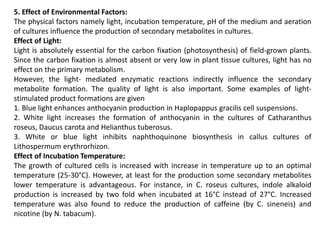 5. Effect of Environmental Factors:
The physical factors namely light, incubation temperature, pH of the medium and aeration
of cultures influence the production of secondary metabolites in cultures.
Effect of Light:
Light is absolutely essential for the carbon fixation (photosynthesis) of field-grown plants.
Since the carbon fixation is almost absent or very low in plant tissue cultures, light has no
effect on the primary metabolism.
However, the light- mediated enzymatic reactions indirectly influence the secondary
metabolite formation. The quality of light is also important. Some examples of light-
stimulated product formations are given
1. Blue light enhances anthocyanin production in Haplopappus gracilis cell suspensions.
2. White light increases the formation of anthocyanin in the cultures of Catharanthus
roseus, Daucus carota and Helianthus tuberosus.
3. White or blue light inhibits naphthoquinone biosynthesis in callus cultures of
Lithospermum erythrorhizon.
Effect of Incubation Temperature:
The growth of cultured cells is increased with increase in temperature up to an optimal
temperature (25-30°C). However, at least for the production some secondary metabolites
lower temperature is advantageous. For instance, in C. roseus cultures, indole alkaloid
production is increased by two fold when incubated at 16°C instead of 27°C. Increased
temperature was also found to reduce the production of caffeine (by C. sineneis) and
nicotine (by N. tabacum).
 