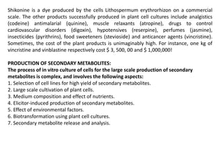 Shikonine is a dye produced by the cells Lithospermum erythrorhizon on a commercial
scale. The other products successfully produced in plant cell cultures include analgistics
(codeine) antimalarial (quinine), muscle relaxants (atropine), drugs to control
cardiovascular disorders (digoxin), hypotensives (reserpine), perfumes (jasmine),
insecticides (pyrithrins), food sweeteners (stevioside) and anticancer agents (vincristine).
Sometimes, the cost of the plant products is unimaginably high. For instance, one kg of
vincristine and vinblastine respectively cost $ 3, 500, 00 and $ 1,000,000!
PRODUCTION OF SECONDARY METABOLITES:
The process of in vitro culture of cells for the large scale production of secondary
metabolites is complex, and involves the following aspects:
1. Selection of cell lines for high yield of secondary metabolites.
2. Large scale cultivation of plant cells.
3. Medium composition and effect of nutrients.
4. Elicitor-induced production of secondary metabolites.
5. Effect of environmental factors.
6. Biotransformation using plant cell cultures.
7. Secondary metabolite release and analysis.
 