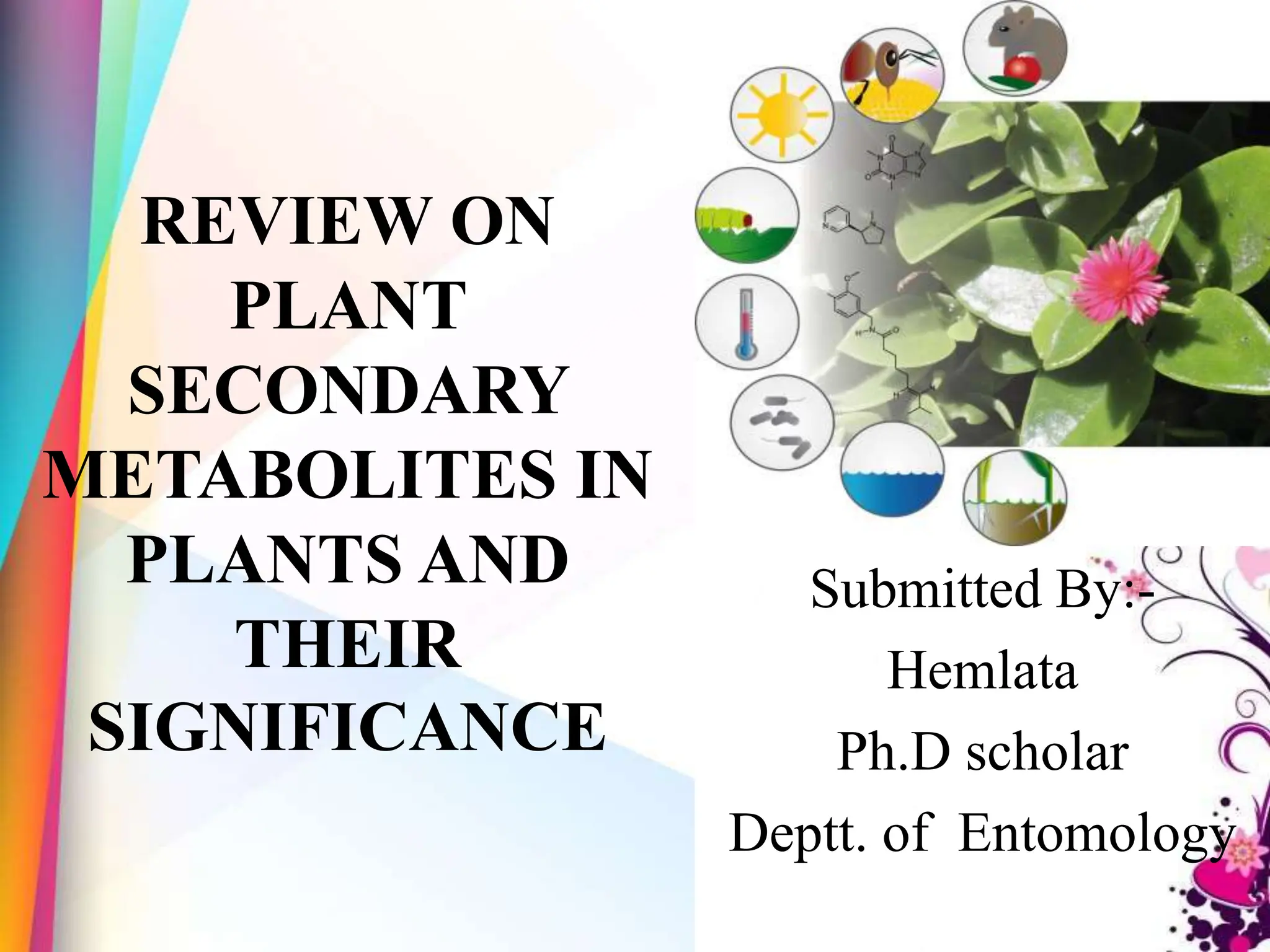 PLANT SECONDARY METABOLITES IN PLANTS AND THEIR SIGNIFICANCE | PPTX