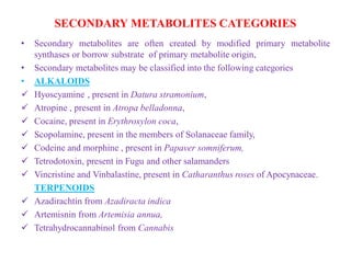 Secondary metabolite ,Plants and Health Care | PDF