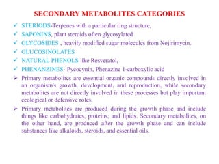 Secondary metabolite ,Plants and Health Care | PDF