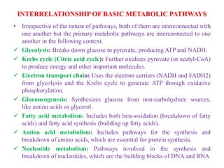 Secondary metabolite ,Plants and Health Care | PDF