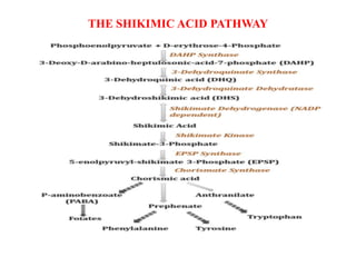 Secondary metabolite ,Plants and Health Care | PDF