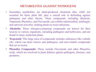 Secondary metabolite ,Plants and Health Care | PDF