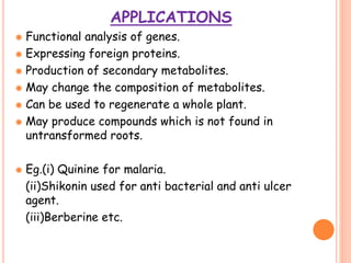 APPLICATIONS
 Functional analysis of genes.
 Expressing foreign proteins.
 Production of secondary metabolites.
 May change the composition of metabolites.
 Can be used to regenerate a whole plant.
 May produce compounds which is not found in
untransformed roots.
 Eg.(i) Quinine for malaria.
(ii)Shikonin used for anti bacterial and anti ulcer
agent.
(iii)Berberine etc.
 
