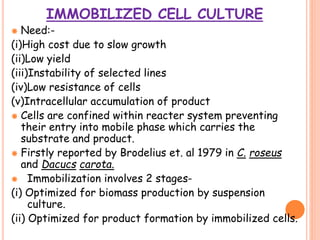 IMMOBILIZED CELL CULTURE
 Need:-
(i)High cost due to slow growth
(ii)Low yield
(iii)Instability of selected lines
(iv)Low resistance of cells
(v)Intracellular accumulation of product
 Cells are confined within reacter system preventing
their entry into mobile phase which carries the
substrate and product.
 Firstly reported by Brodelius et. al 1979 in C. roseus
and Dacucs carota.
 Immobilization involves 2 stages-
(i) Optimized for biomass production by suspension
culture.
(ii) Optimized for product formation by immobilized cells.
 