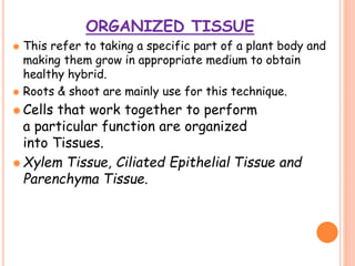 ORGANIZED TISSUE
 This refer to taking a specific part of a plant body and
making them grow in appropriate medium to obtain
healthy hybrid.
 Roots & shoot are mainly use for this technique.
 Cells that work together to perform
a particular function are organized
into Tissues.
 Xylem Tissue, Ciliated Epithelial Tissue and
Parenchyma Tissue.
 