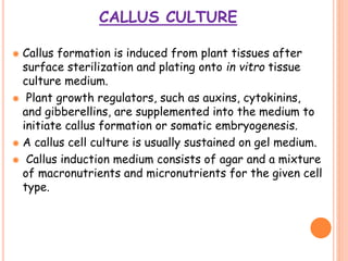 CALLUS CULTURE
 Callus formation is induced from plant tissues after
surface sterilization and plating onto in vitro tissue
culture medium.
 Plant growth regulators, such as auxins, cytokinins,
and gibberellins, are supplemented into the medium to
initiate callus formation or somatic embryogenesis.
 A callus cell culture is usually sustained on gel medium.
 Callus induction medium consists of agar and a mixture
of macronutrients and micronutrients for the given cell
type.
 
