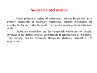 Secondary Metabolites
Plants produce a variety of compounds that can be divided in to
primary metabolites & secondary metabolites. Primary metabolites are
essential for the survival of the plant. They include sugars, proteins and amino
acids.
Secondary metabolites are the compounds which are not directly
involved in the normal growth, development & reproduction of the plants.
They includes tannins, terpenoids, flavonoids, alkaloids, essential oils &
organic acids.
 