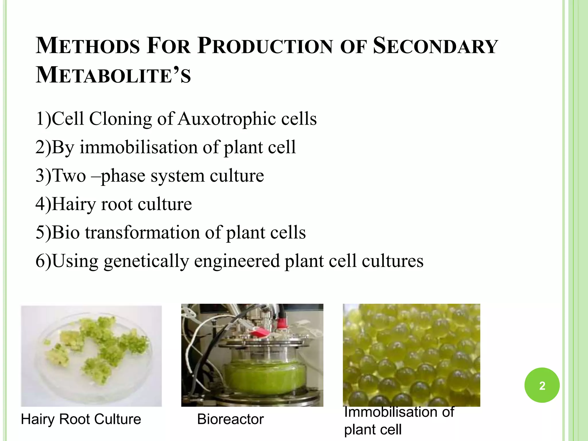 SECONDARY METABOLITES PRODUCTION.pptx