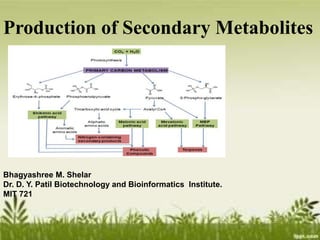 Production of Secondary Metabolites
Bhagyashree M. Shelar
Dr. D. Y. Patil Biotechnology and Bioinformatics Institute.
MIT 721
1
 