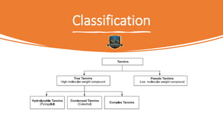 Classification
 