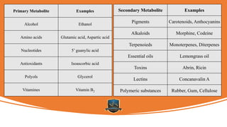Primary Metabolite Examples
Alcohol Ethanol
Amino acids Glutamic acid, Aspartic acid
Nucleotides 5’ guanylic acid
Antioxidants Isoascorbic acid
Polyols Glycerol
Vitamines Vitamin B2
Secondary Metabolite Examples
Pigments Carotenoids, Anthocyanins
Alkaloids Morphine, Codeine
Terpenoieds Monoterpenes, Diterpenes
Essential oils Lemongrass oil
Toxins Abrin, Ricin
Lectins Concanavalin A
Polymeric substances Rubber, Gum, Cellulose
 