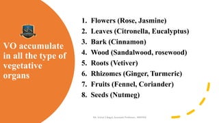 VO accumulate
in all the type of
vegetative
organs
1. Flowers (Rose, Jasmine)
2. Leaves (Citronella, Eucalyptus)
3. Bark (Cinnamon)
4. Wood (Sandalwood, rosewood)
5. Roots (Vetiver)
6. Rhizomes (Ginger, Turmeric)
7. Fruits (Fennel, Coriander)
8. Seeds (Nutmeg)
Mr. Vishal S Bagul, Assistant Professor., HRPIPER
 