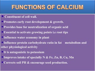 Secondary plant nutrients their detailed information, deficiency symptoms.  | PPTX