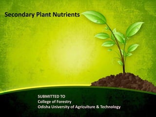 SUBMITTED TO
College of Forestry
Odisha University of Agriculture & Technology
Secondary Plant Nutrients
 