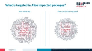 PATENT MARKET DATA
ACTIONABLE ANALYTICS
Alice impacted Versus not Alice impacted
What is targeted in Alice impacted packages?
(C) 2019 Richardson Oliver Insights LLC 19
 