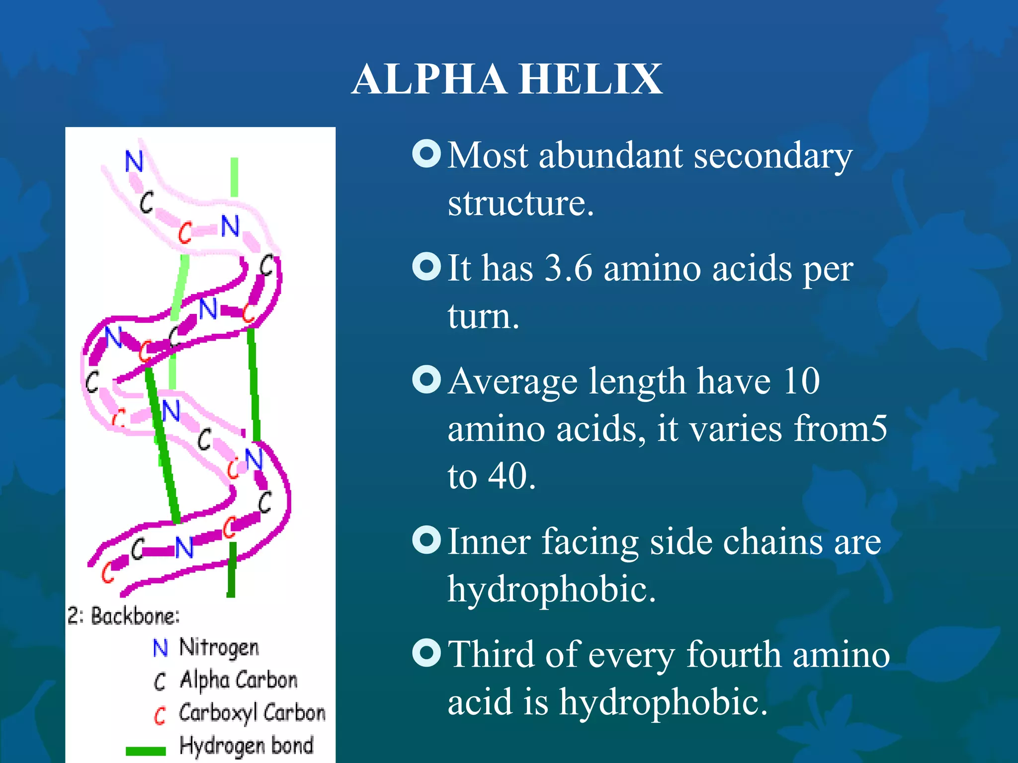 Secondary protein structure prediction | PPTX