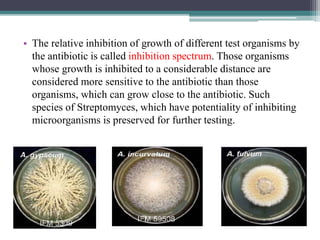 Secondary screening of industrial important microbes | PPTX