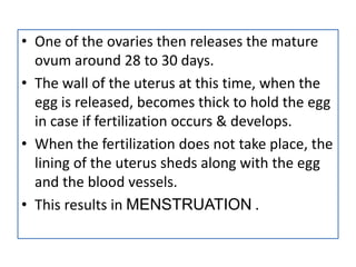 secondary sexual character.pptx