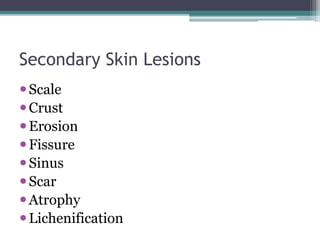 Secondary Skin Lesions
Scale
Crust
Erosion
Fissure
Sinus
Scar
Atrophy
Lichenification
 