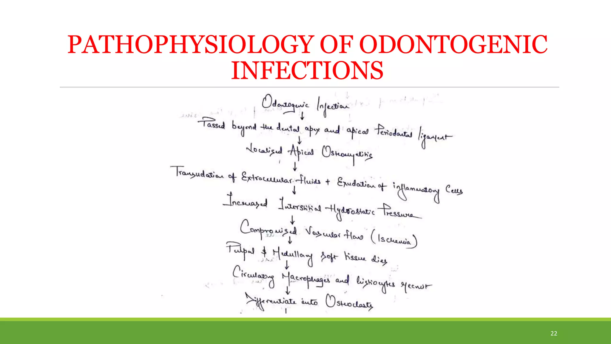 PATHOPHYSIOLOGY OF ODONTOGENIC
INFECTIONS
22
 