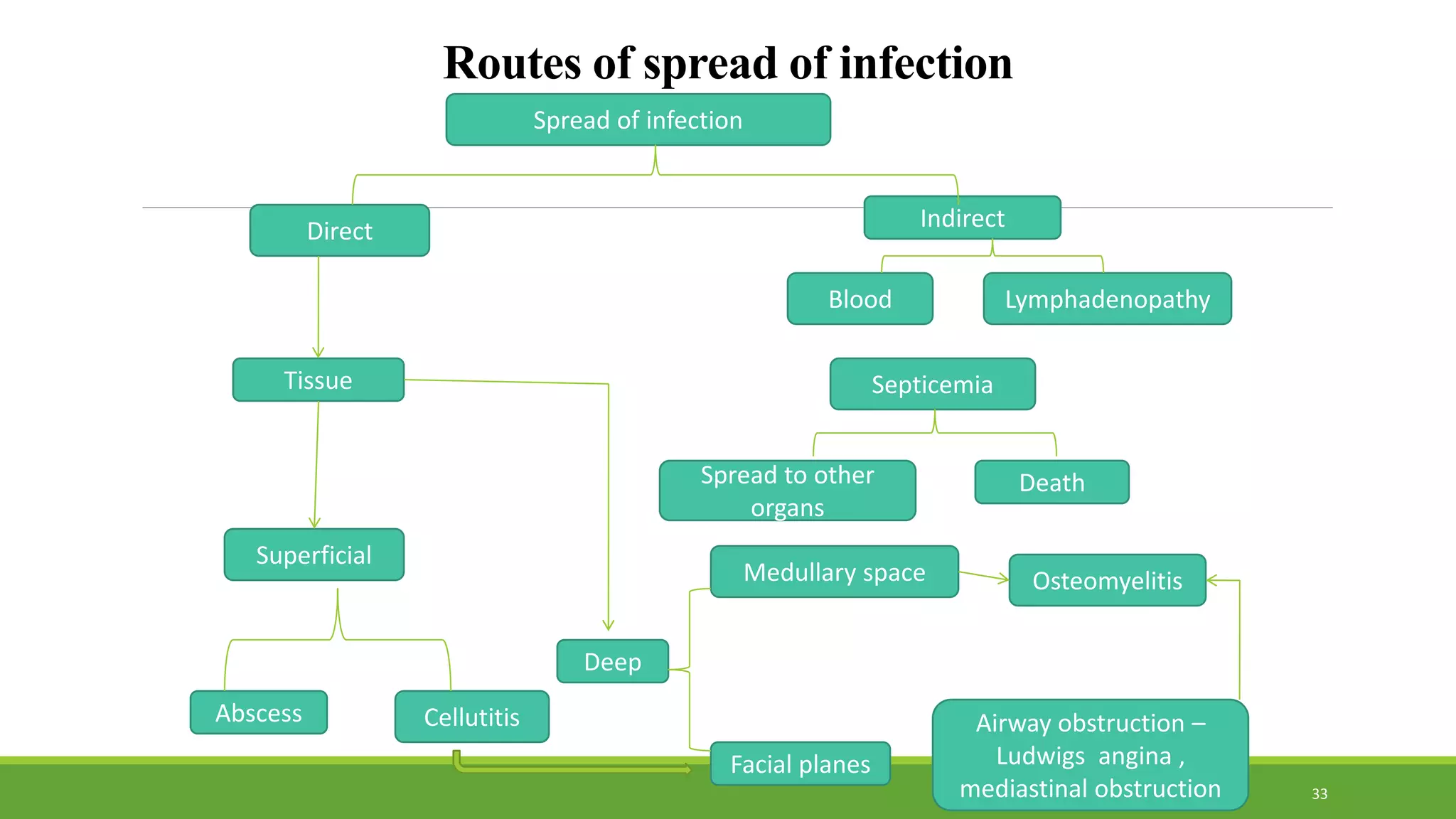 Routes of spread of infection
Superficial
Spread of infection
Direct
Tissue
Indirect
LymphadenopathyBlood
Septicemia
DeathSpread to other
organs
OsteomyelitisMedullary space
Deep
CellutitisAbscess
Facial planes
Airway obstruction –
Ludwigs angina ,
mediastinal obstruction 33
 