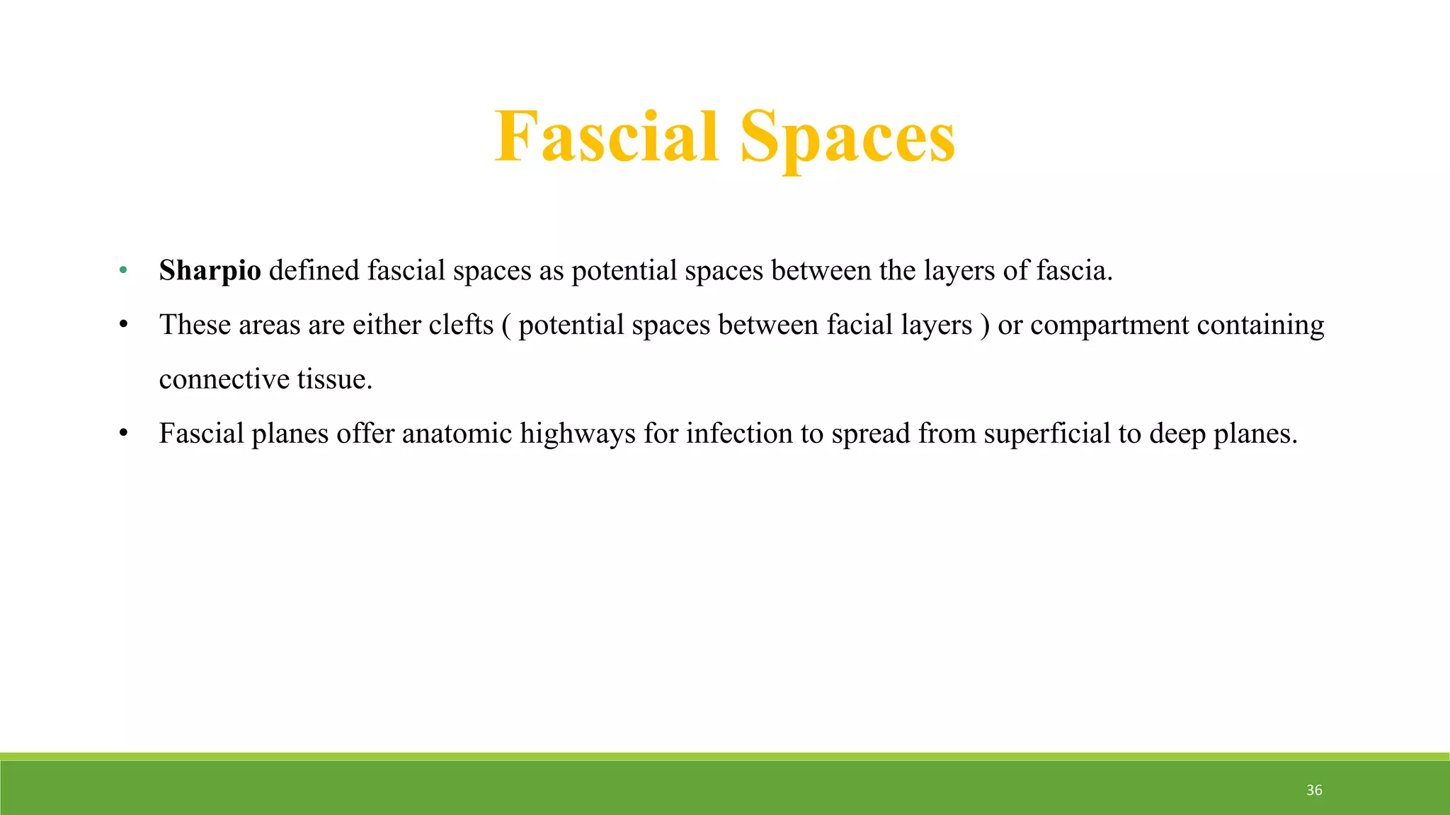 Fascial Spaces
• Sharpio defined fascial spaces as potential spaces between the layers of fascia.
• These areas are either clefts ( potential spaces between facial layers ) or compartment containing
connective tissue.
• Fascial planes offer anatomic highways for infection to spread from superficial to deep planes.
36
 