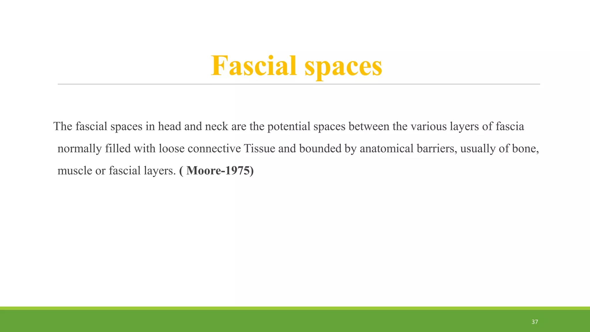 Fascial spaces
The fascial spaces in head and neck are the potential spaces between the various layers of fascia
normally filled with loose connective Tissue and bounded by anatomical barriers, usually of bone,
muscle or fascial layers. ( Moore-1975)
37
 