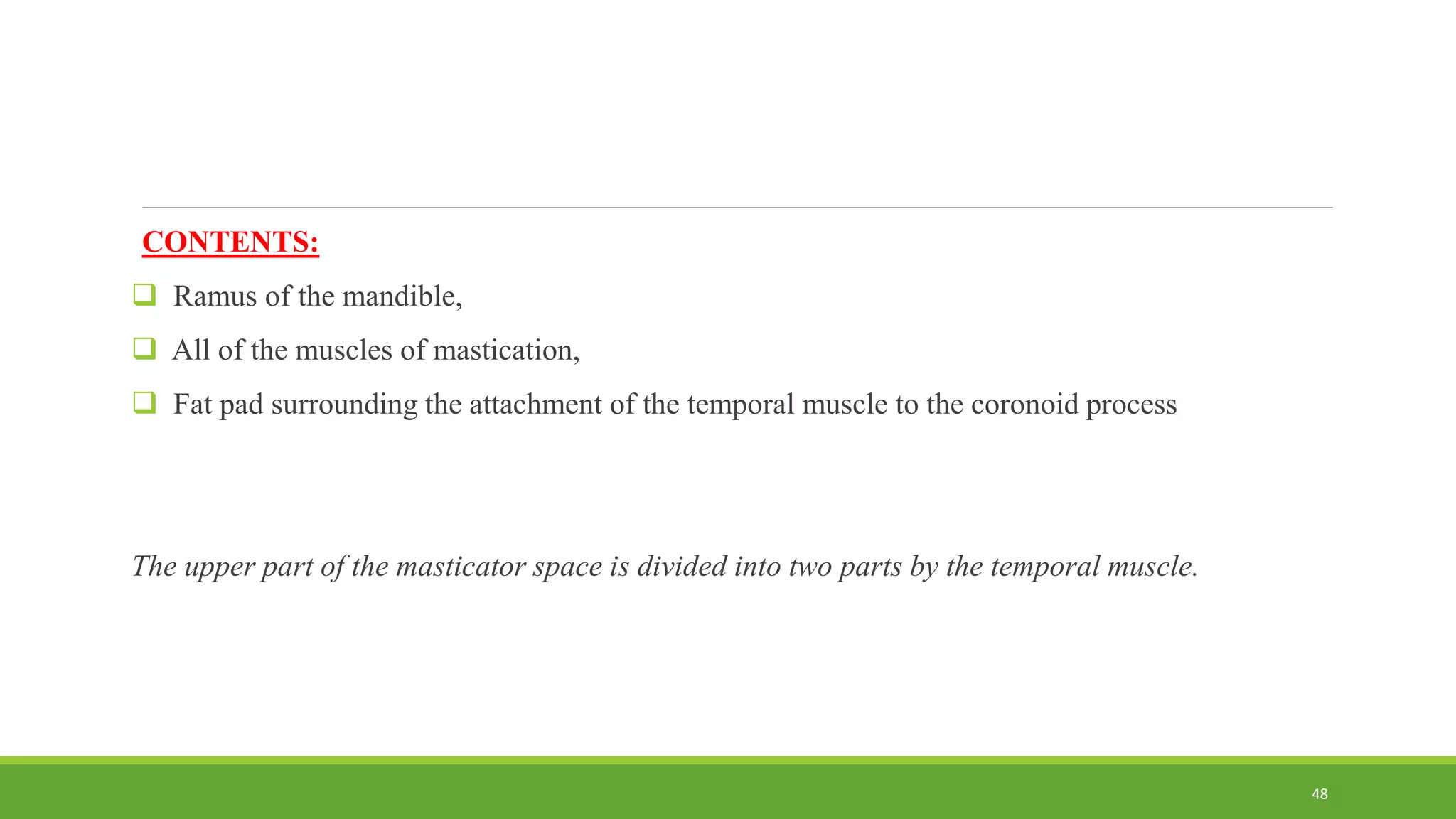 CONTENTS:
 Ramus of the mandible,
 All of the muscles of mastication,
 Fat pad surrounding the attachment of the temporal muscle to the coronoid process
The upper part of the masticator space is divided into two parts by the temporal muscle.
48
 