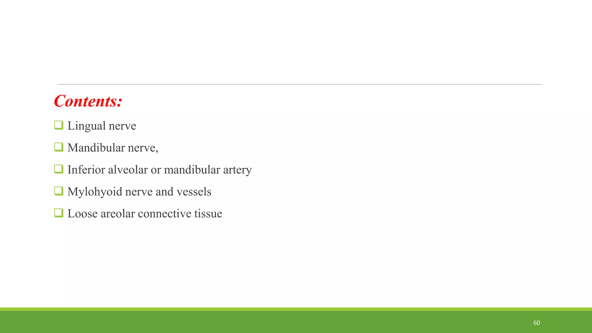 Contents:
 Lingual nerve
 Mandibular nerve,
 Inferior alveolar or mandibular artery
 Mylohyoid nerve and vessels
 Loose areolar connective tissue
60
 
