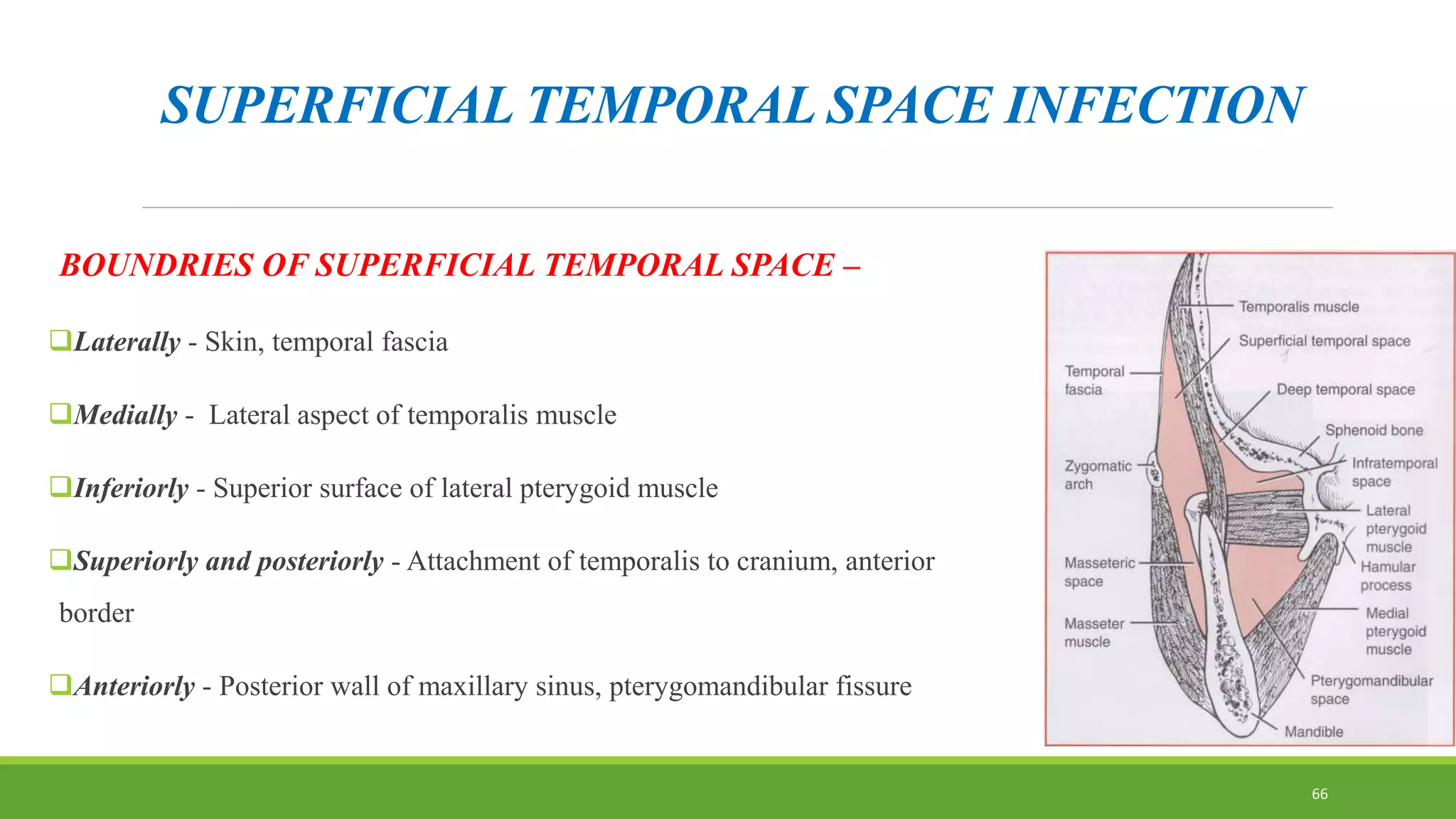 SUPERFICIAL TEMPORAL SPACE INFECTION
BOUNDRIES OF SUPERFICIAL TEMPORAL SPACE –
Laterally - Skin, temporal fascia
Medially - Lateral aspect of temporalis muscle
Inferiorly - Superior surface of lateral pterygoid muscle
Superiorly and posteriorly - Attachment of temporalis to cranium, anterior
border
Anteriorly - Posterior wall of maxillary sinus, pterygomandibular fissure
66
 