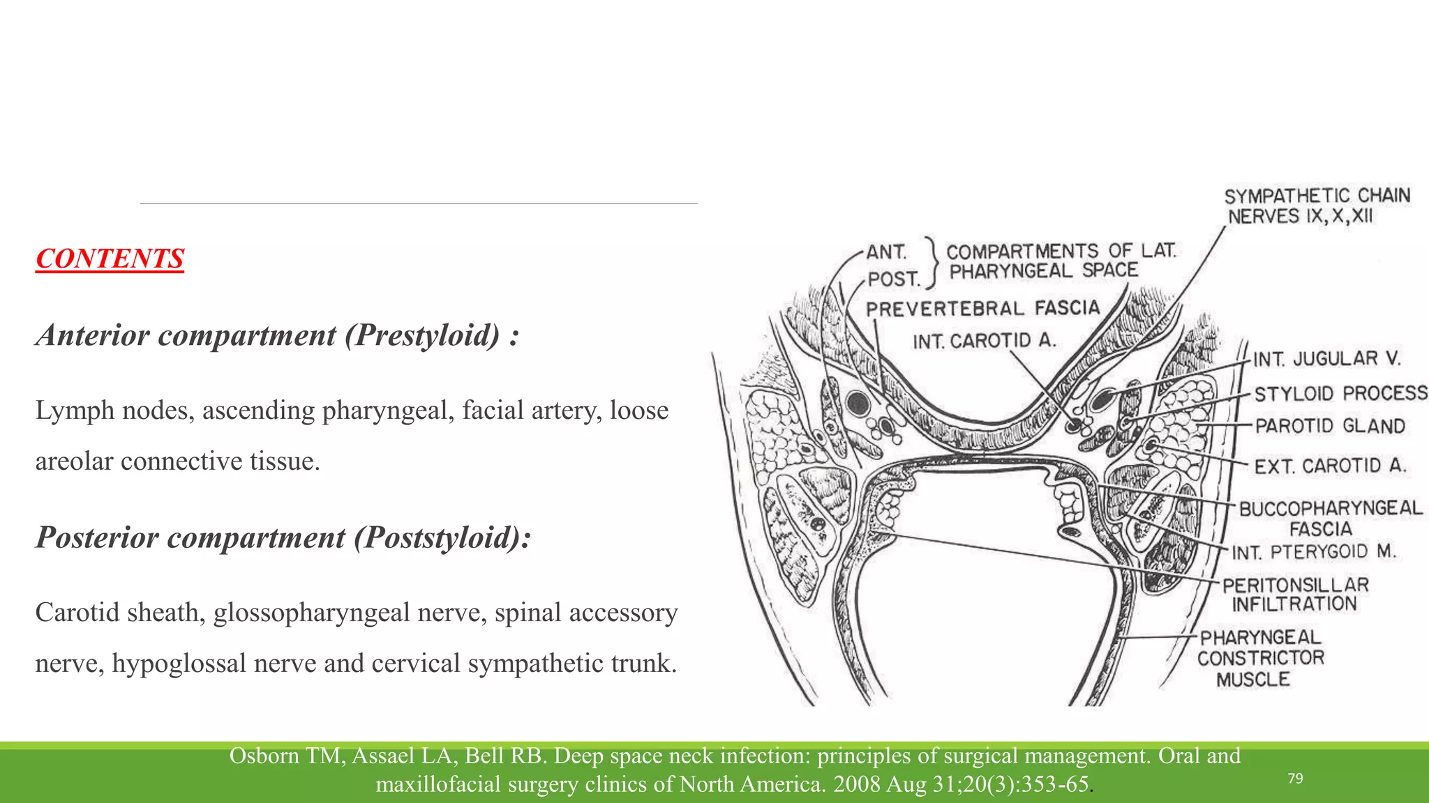 CONTENTS
Anterior compartment (Prestyloid) :
Lymph nodes, ascending pharyngeal, facial artery, loose
areolar connective tissue.
Posterior compartment (Poststyloid):
Carotid sheath, glossopharyngeal nerve, spinal accessory
nerve, hypoglossal nerve and cervical sympathetic trunk.
79
Osborn TM, Assael LA, Bell RB. Deep space neck infection: principles of surgical management. Oral and
maxillofacial surgery clinics of North America. 2008 Aug 31;20(3):353-65.
 