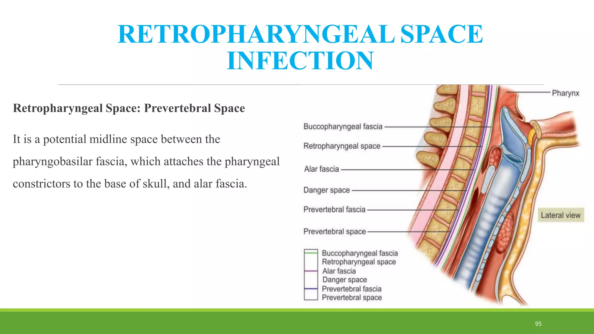 RETROPHARYNGEAL SPACE
INFECTION
Retropharyngeal Space: Prevertebral Space
It is a potential midline space between the
pharyngobasilar fascia, which attaches the pharyngeal
constrictors to the base of skull, and alar fascia.
95
 