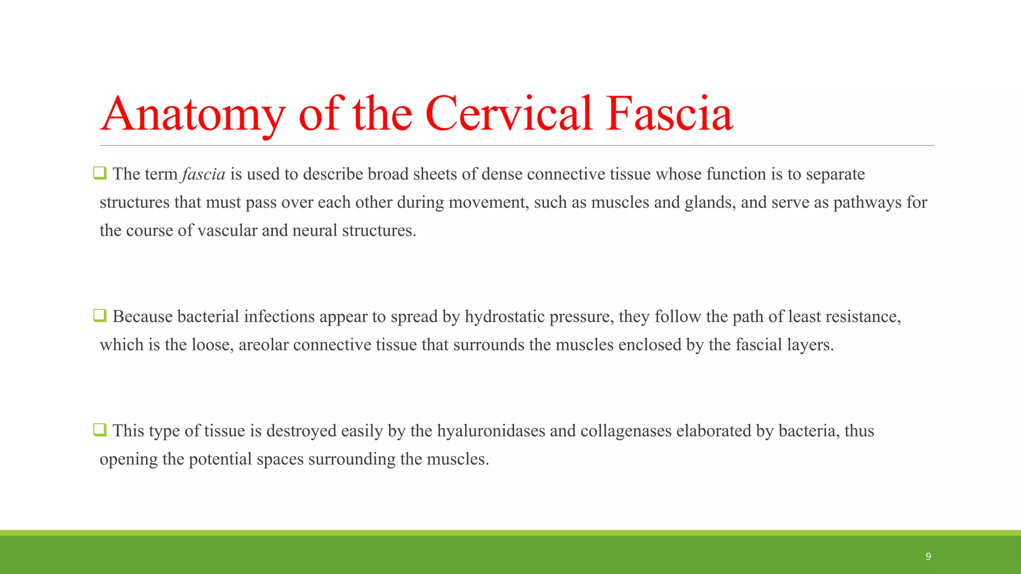Anatomy of the Cervical Fascia
 The term fascia is used to describe broad sheets of dense connective tissue whose function is to separate
structures that must pass over each other during movement, such as muscles and glands, and serve as pathways for
the course of vascular and neural structures.
 Because bacterial infections appear to spread by hydrostatic pressure, they follow the path of least resistance,
which is the loose, areolar connective tissue that surrounds the muscles enclosed by the fascial layers.
 This type of tissue is destroyed easily by the hyaluronidases and collagenases elaborated by bacteria, thus
opening the potential spaces surrounding the muscles.
9
 