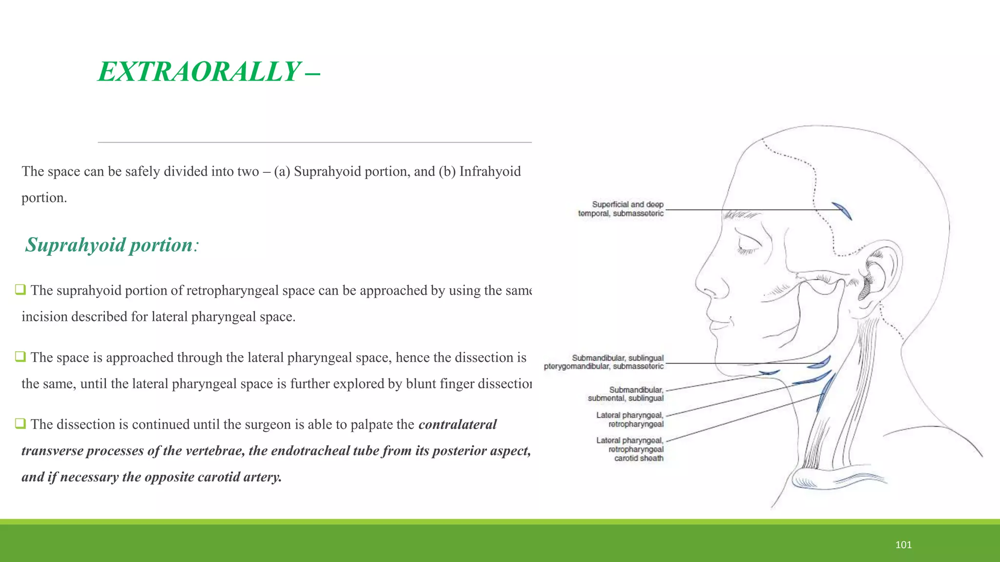 EXTRAORALLY –
The space can be safely divided into two – (a) Suprahyoid portion, and (b) Infrahyoid
portion.
Suprahyoid portion:
 The suprahyoid portion of retropharyngeal space can be approached by using the same
incision described for lateral pharyngeal space.
 The space is approached through the lateral pharyngeal space, hence the dissection is
the same, until the lateral pharyngeal space is further explored by blunt finger dissection.
 The dissection is continued until the surgeon is able to palpate the contralateral
transverse processes of the vertebrae, the endotracheal tube from its posterior aspect,
and if necessary the opposite carotid artery.
101
 