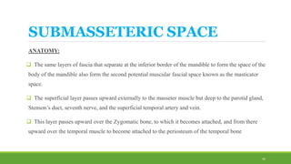 Submasseter Space Secondary spaces | PPTX