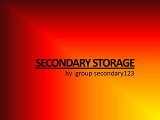 SECONDARY STORAGE
by group secondary123

 