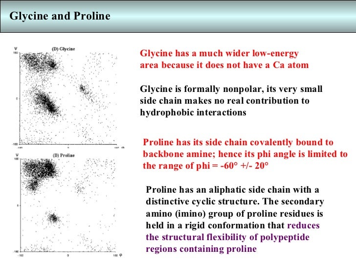 ramachandran plot glycine
