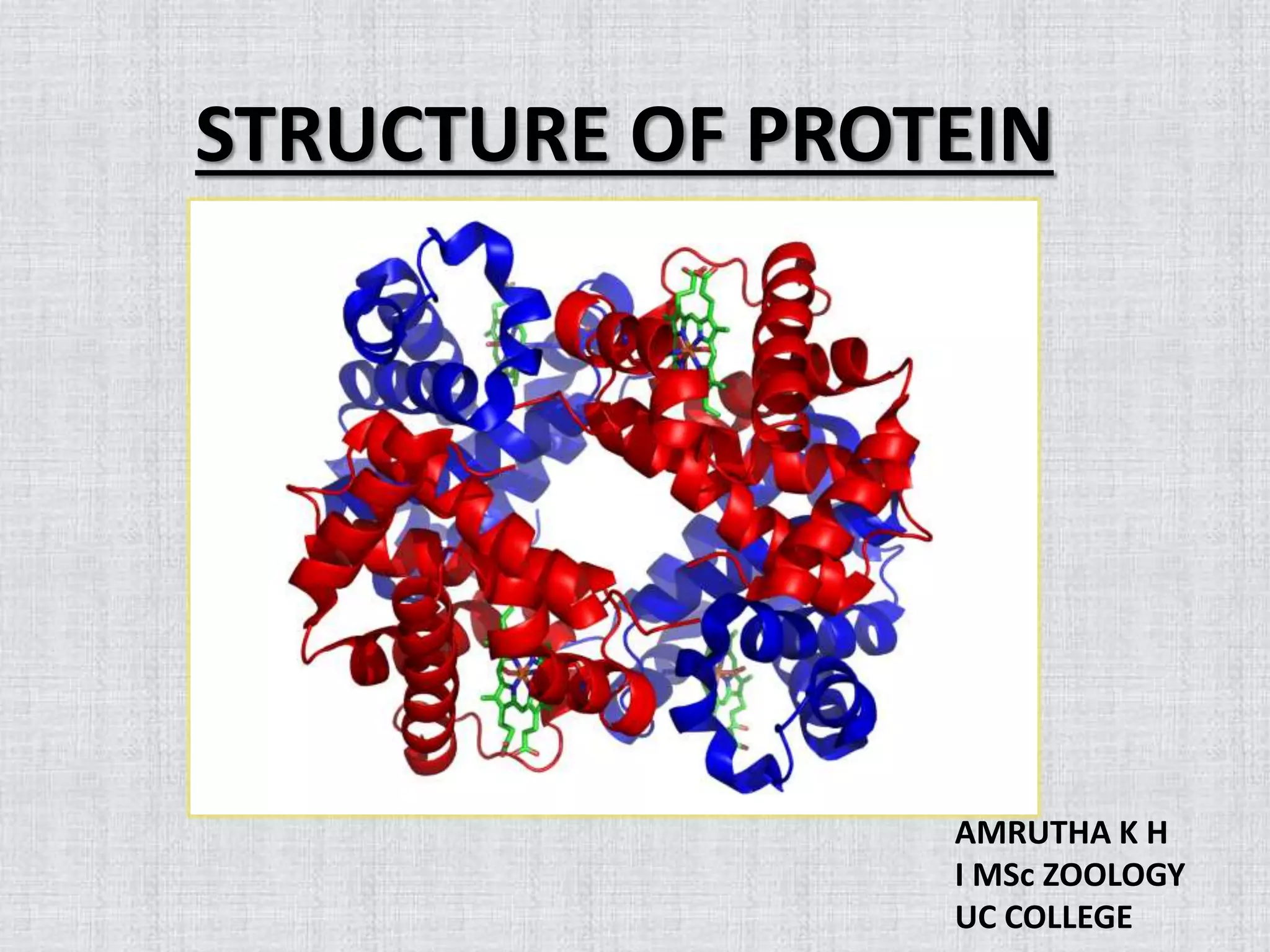 STRUCTURE OF PROTEIN
AMRUTHA K H
I MSc ZOOLOGY
UC COLLEGE
 