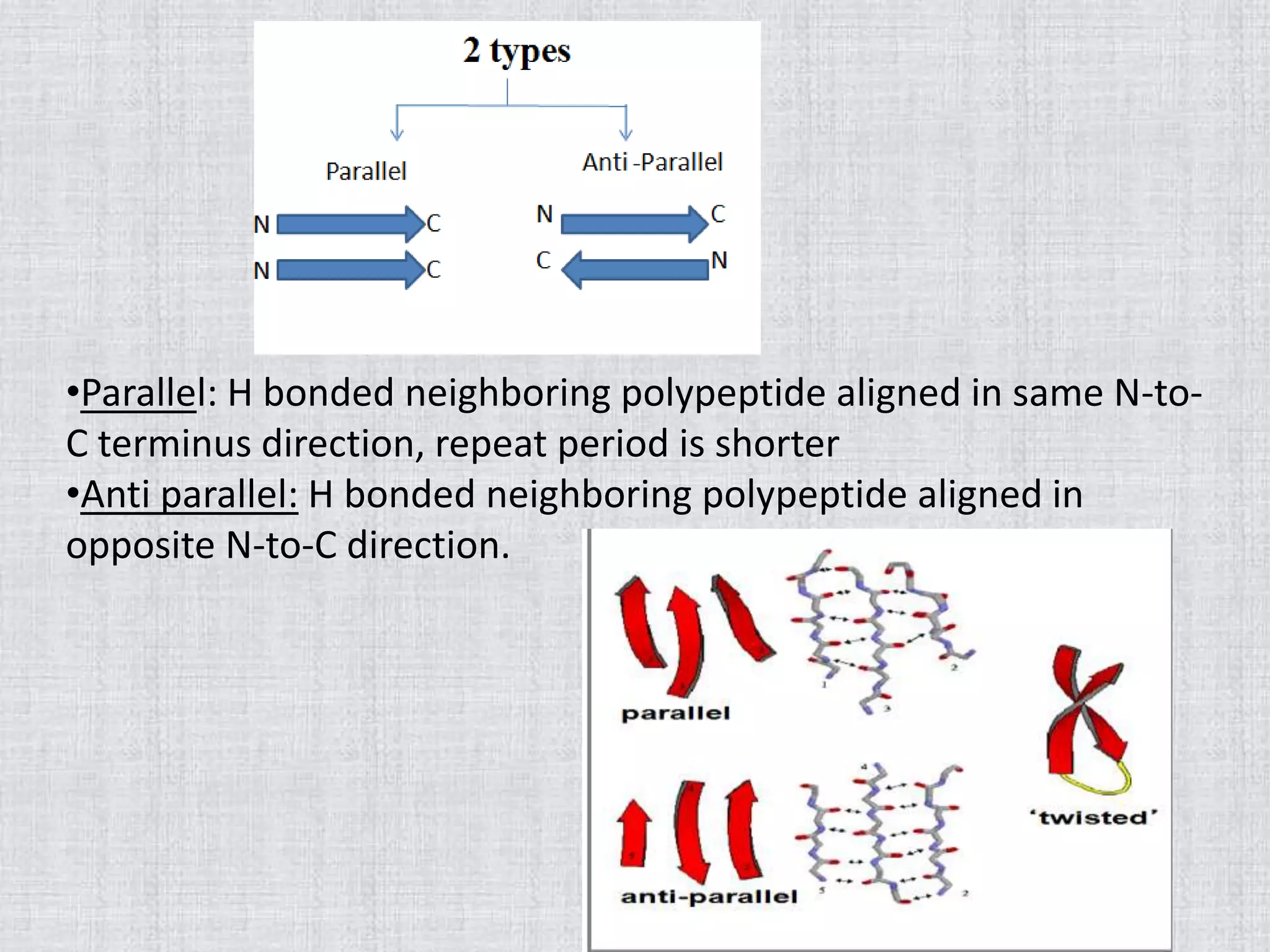 •Parallel: H bonded neighboring polypeptide aligned in same N-to-
C terminus direction, repeat period is shorter
•Anti parallel: H bonded neighboring polypeptide aligned in
opposite N-to-C direction.
 