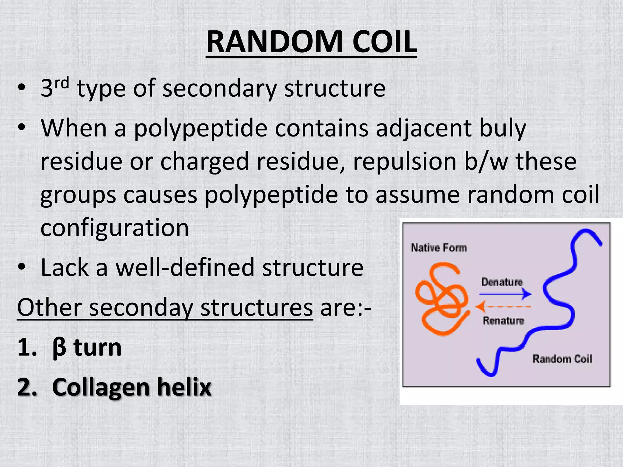 RANDOM COIL
• 3rd type of secondary structure
• When a polypeptide contains adjacent buly
residue or charged residue, repulsion b/w these
groups causes polypeptide to assume random coil
configuration
• Lack a well-defined structure
Other seconday structures are:-
1. β turn
2. Collagen helix
 