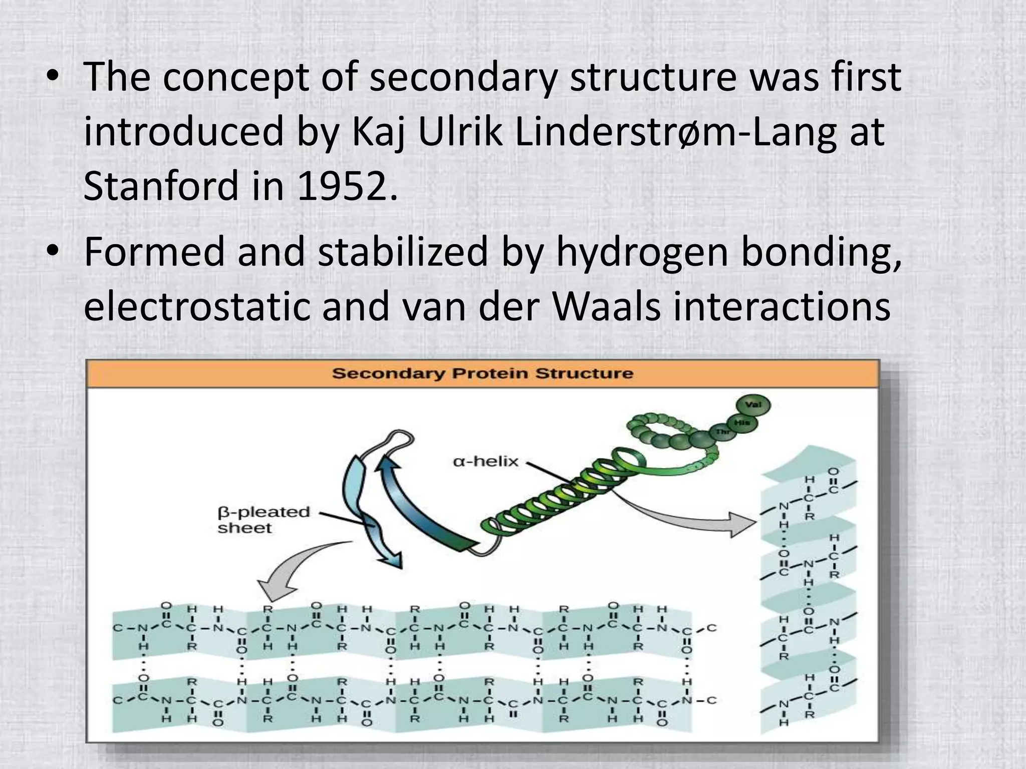 • The concept of secondary structure was first
introduced by Kaj Ulrik Linderstrøm-Lang at
Stanford in 1952.
• Formed and stabilized by hydrogen bonding,
electrostatic and van der Waals interactions
 