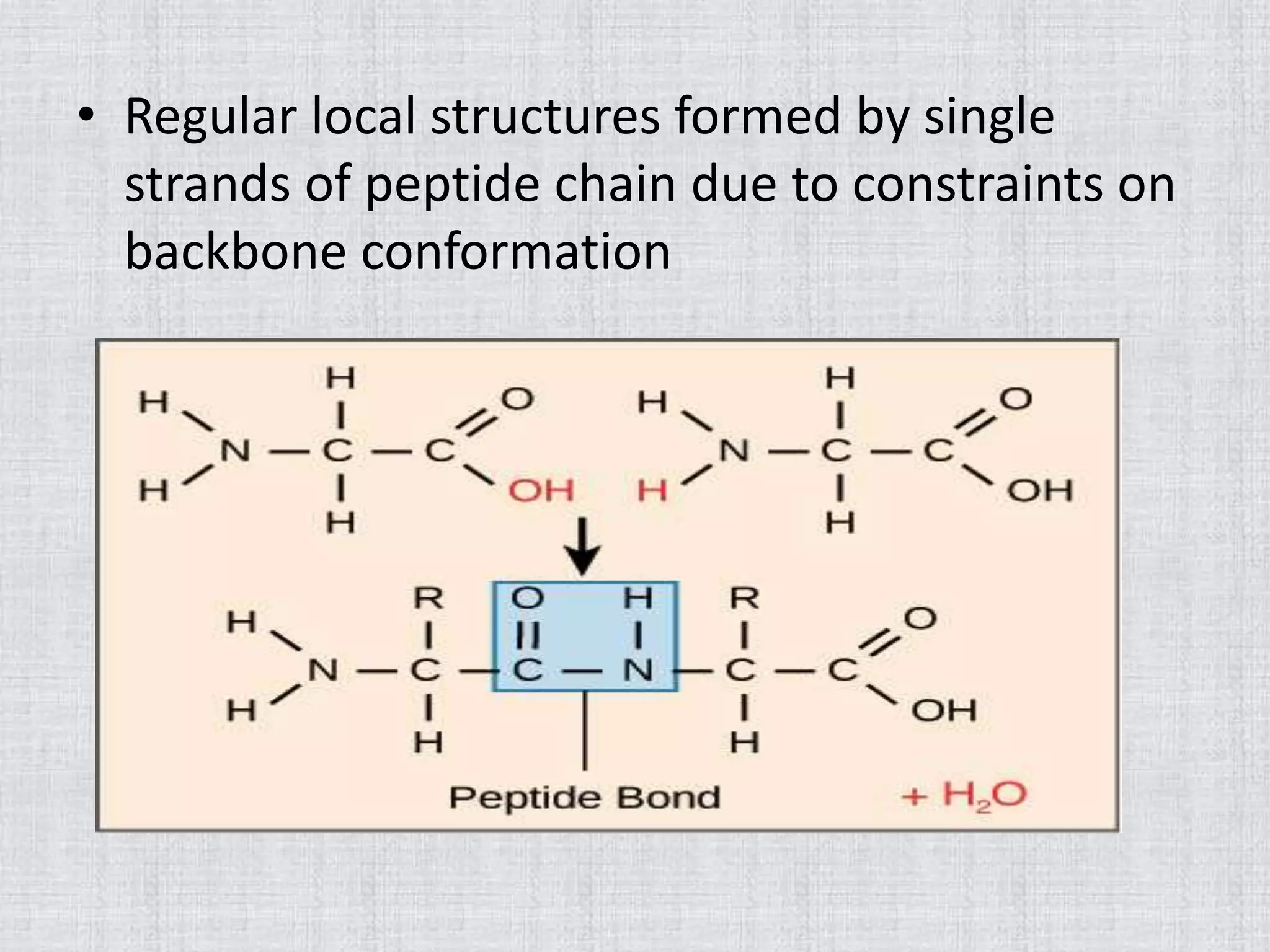 • Regular local structures formed by single
strands of peptide chain due to constraints on
backbone conformation
 